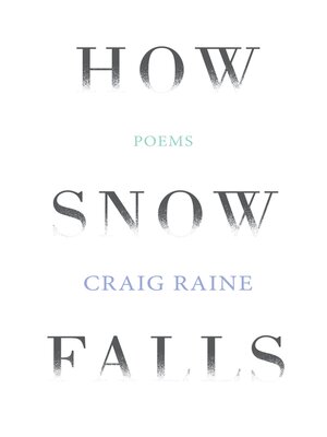 cover image of How Snow Falls
